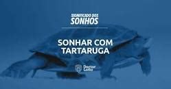 sonhar com tartaruga jogo do bicho - Sonhar com Tartaruga no Jogo do Bicho 